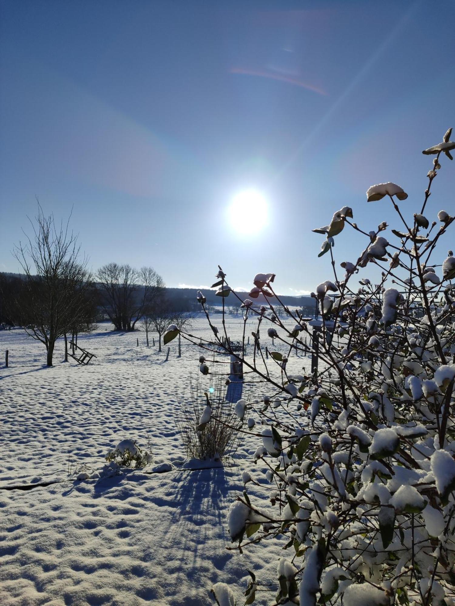 La Croisee Des Champs, Gite Entre Durbuy Et La Roche En Ardenne Érezée Exterior foto